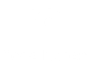 CodeExpert